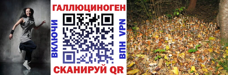 Галлюциногенные грибы GOLDEN TEACHER  купить  цена  Светлоград 
